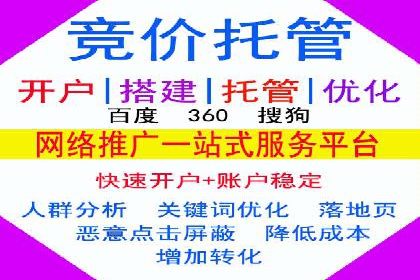 科技公司SEM关键词营销战略及实施效果